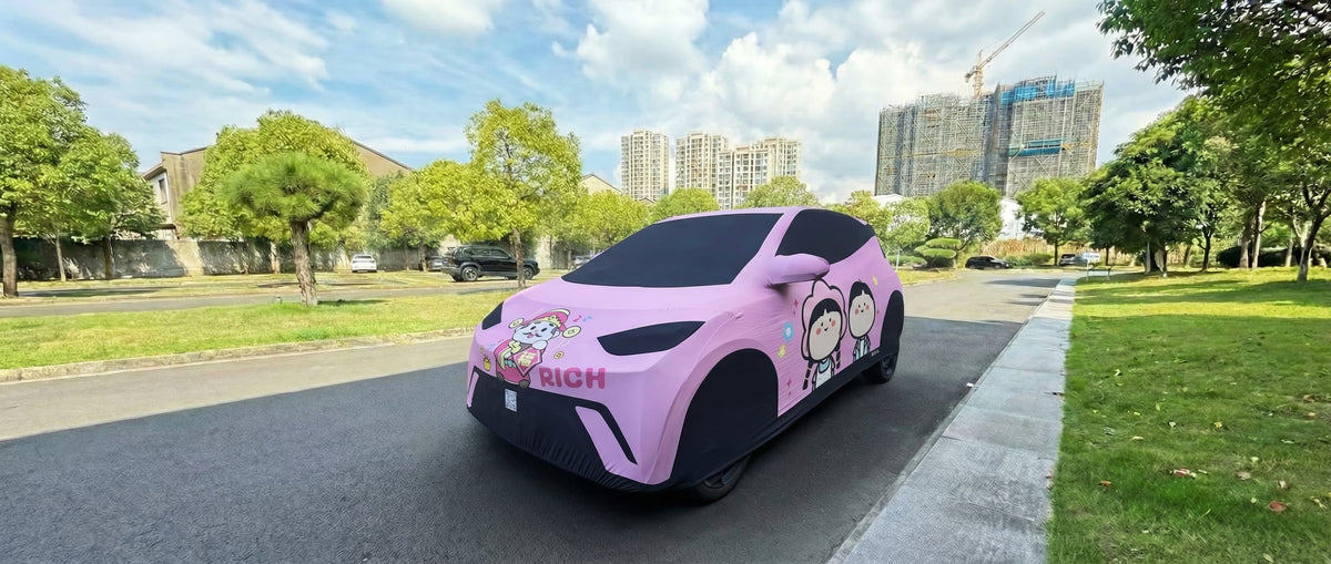 BYD Seagull