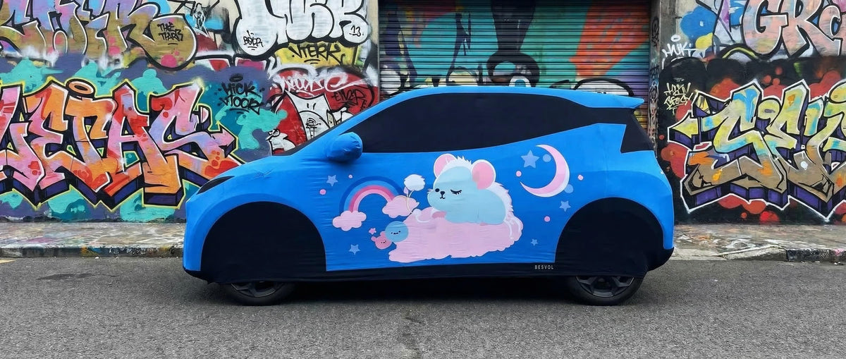 BYD Seagull