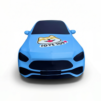 BESVOL Minimal Graphic Series for Benz C260 | Machine-Washable Custom Car Cover - 2